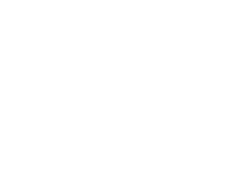 logo Nudle Śląskie